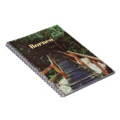Carnet Parc national de Bako - Bornéo (Côté Droit)