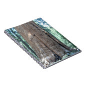 Carnet Parc national de Sequoia (Côté Droit)