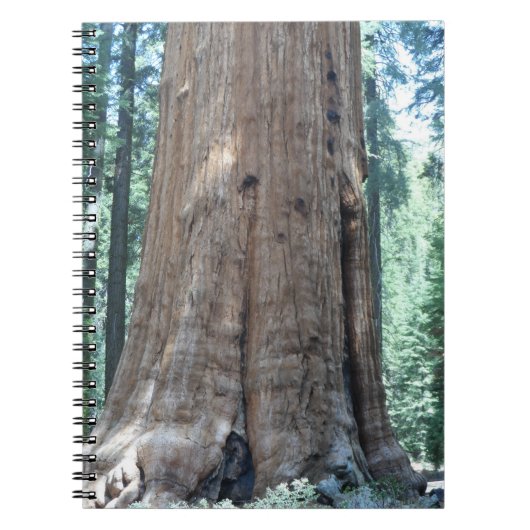 Carnet Parc national de Sequoia (Devant)