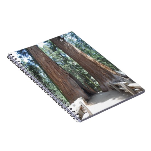 Carnet Parc national de Sequoia (Côté Droit)