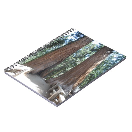 Carnet Parc national de Sequoia (Côté gauche)