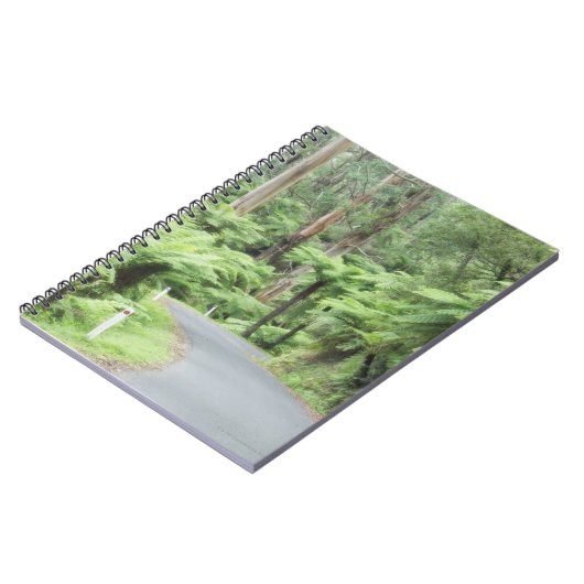 Carnet Parc national de Tarra Bulga, chaînes de (Côté gauche)