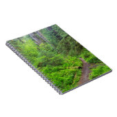 Carnet Parc national Olympique, sentier forestier (Côté Droit)