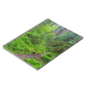 Carnet Parc national Olympique, sentier forestier (Côté gauche)