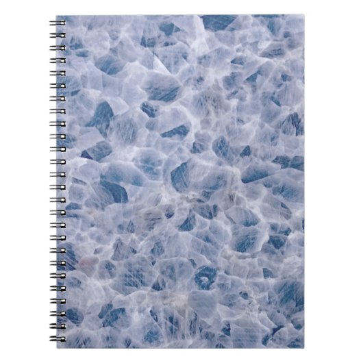 Carnet Parcelle web Spider (Devant)