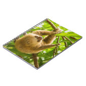 Carnet Paresse à l'envers des images | de Getty (Côté gauche)