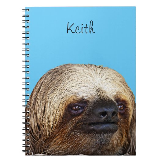 Carnet Paresseux (Devant)