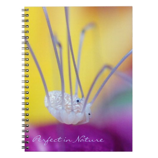 Carnet Parfait dans la nature (Devant)