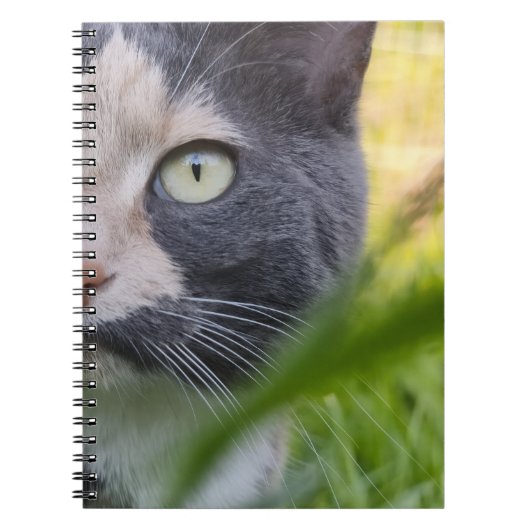 Carnet Parmi les brins - Kobayashi dans le vert (Devant)