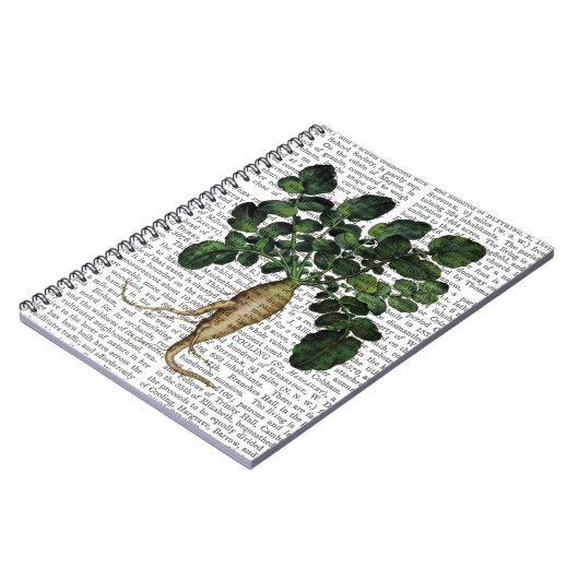 Carnet Parsnip 1 (Côté gauche)