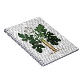 Carnet Parsnip 3 (Côté Droit)