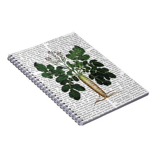 Carnet Parsnip 3 (Côté Droit)