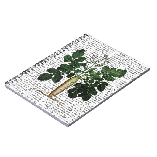 Carnet Parsnip 3 (Côté gauche)
