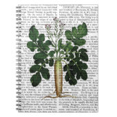 Carnet Parsnip 3 (Devant)