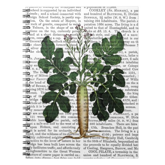 Carnet Parsnip 3 (Devant)