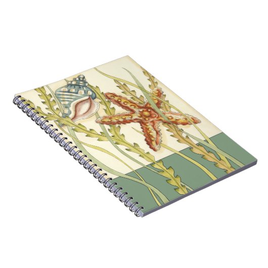 Carnet Partie Shell multicolore (Côté Droit)