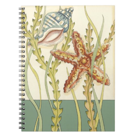 Carnet Partie Shell multicolore (Devant)