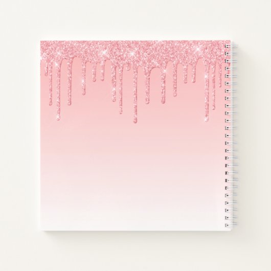 Carnet Parties scintillant moderne design élégant Script (Dos)