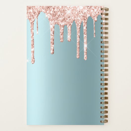 Carnet Parties scintillant rose Gold Drift Turquoise Text (Verso)