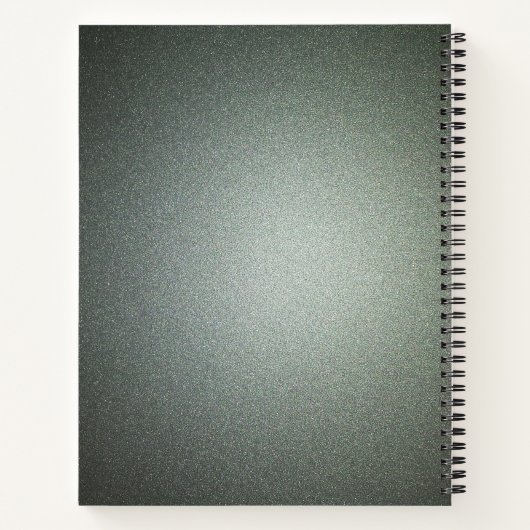 Carnet Parties scintillant verte gris moderne (Dos)