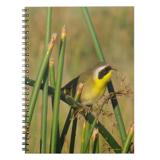Carnet Paruline masquée (Devant)