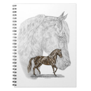 Carnet Paso Fino Cheval Art