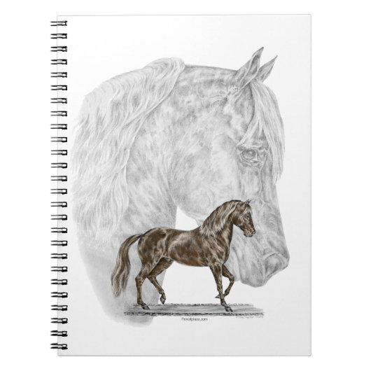 Carnet Paso Fino Cheval Art (Devant)