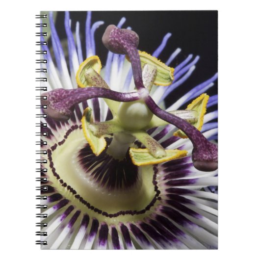 Carnet Passiflore en gros plan (MR) (Devant)