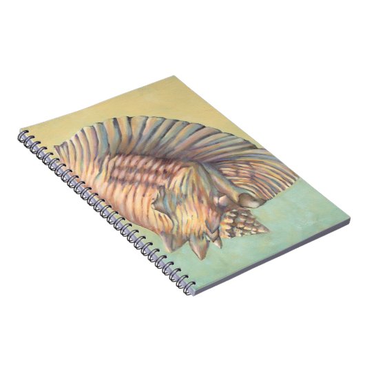 Carnet Pastel Large Conch Shell (Côté Droit)