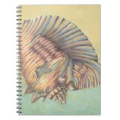 Carnet Pastel Large Conch Shell (Devant)