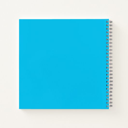Carnet Pastèque et tranche (Dos)