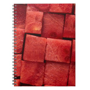 Carnet pastèque glacée