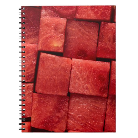 Carnet pastèque glacée (Devant)