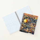 Carnet Patch de citrouilles givré (Intérieur)