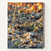 Carnet Patch de citrouilles givré (Dos)