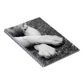 Carnet Pâtes (Côté Droit)