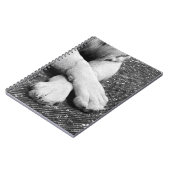 Carnet Pâtes (Côté gauche)