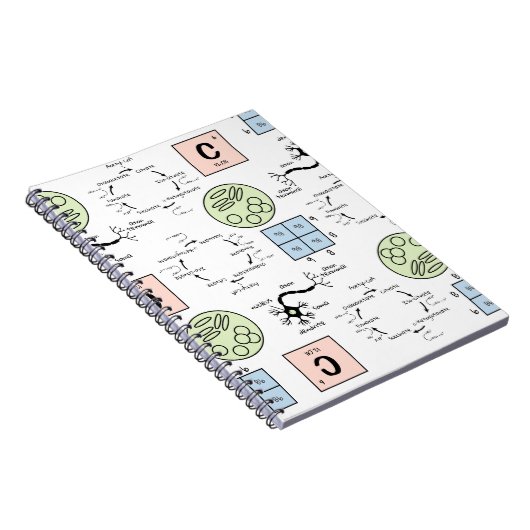 Carnet Patterns Genetics Cell Geek (Côté Droit)