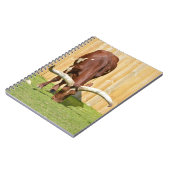 Carnet Pâturage d'Ankole-Watusi (Côté gauche)