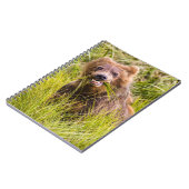 Carnet Pâturage des petits grizzlis, Alaska (Côté gauche)