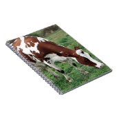 Carnet Pâturage rouge et blanc du Holstein (Côté Droit)