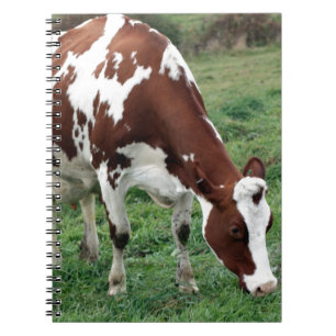 Carnet Pâturage rouge et blanc du Holstein