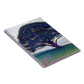 Carnet Paul Signac - Le pin Bonaventure (Côté Droit)