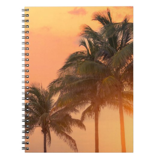 Carnet Paumes de Miami (Devant)