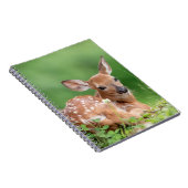 Carnet Pauvreté adorable posée sous un arbre (Côté Droit)