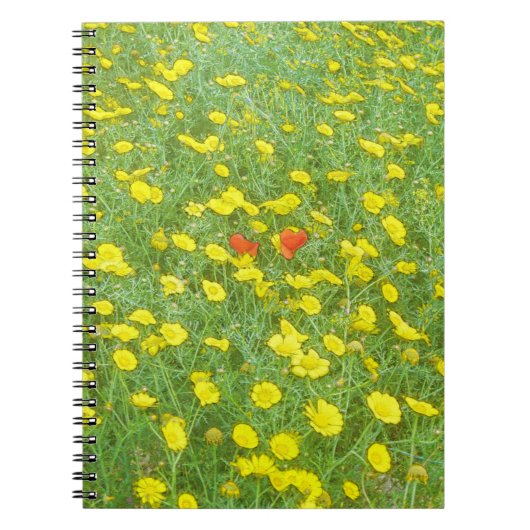 Carnet Pavot aquarelle (Devant)