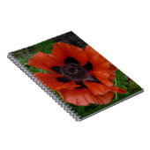 Carnet Pavot d'Orient (Côté Droit)