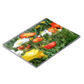 Carnet pavots peints (Côté gauche)