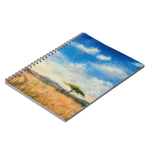 Carnet Paysage 2012 de Mara (Côté gauche)