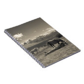 Carnet Paysage avec chevaux (Côté Droit)